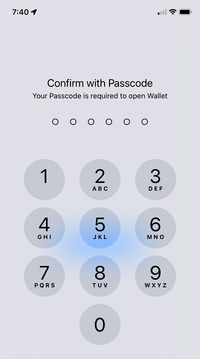 Have You Recently Set a Password for Apple Pay