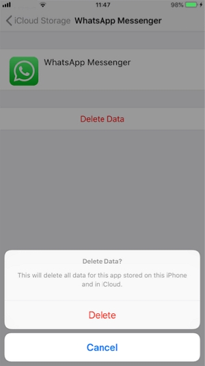 delete the WhatsApp backup from iCloud