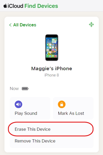 Reset iPhone Without Screen Time Passcode Using Find My