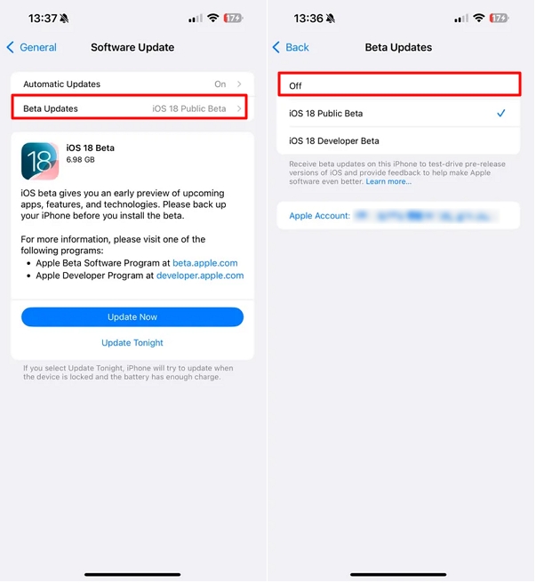 Turn Off iOS Beta Update